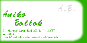 aniko bollok business card